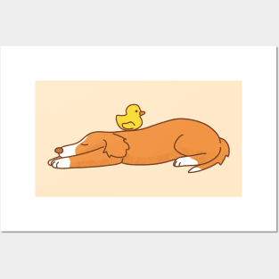 Duck Tolling Retriever Posters and Art